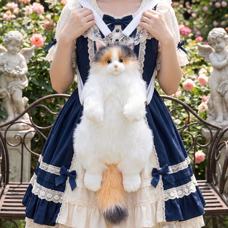 FZBBM-SHHHS p6